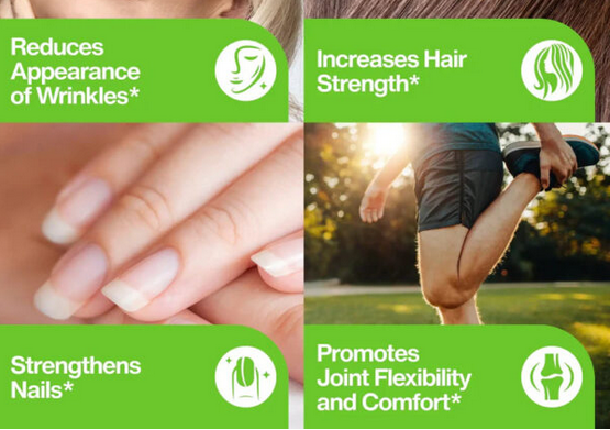 Hydrolyzed Bovine Collagen Powder